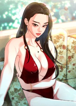 钢之炼金术师 封面